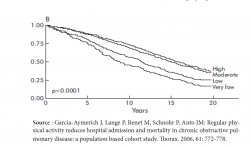 Niveau d&rsquo;activité et santé